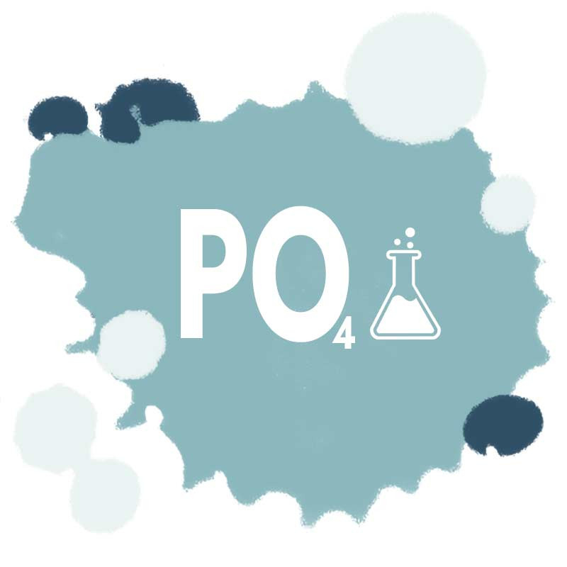 Analyser la présence de phosphate dans l’eau Analyser la présence de phosphate dans l’eau